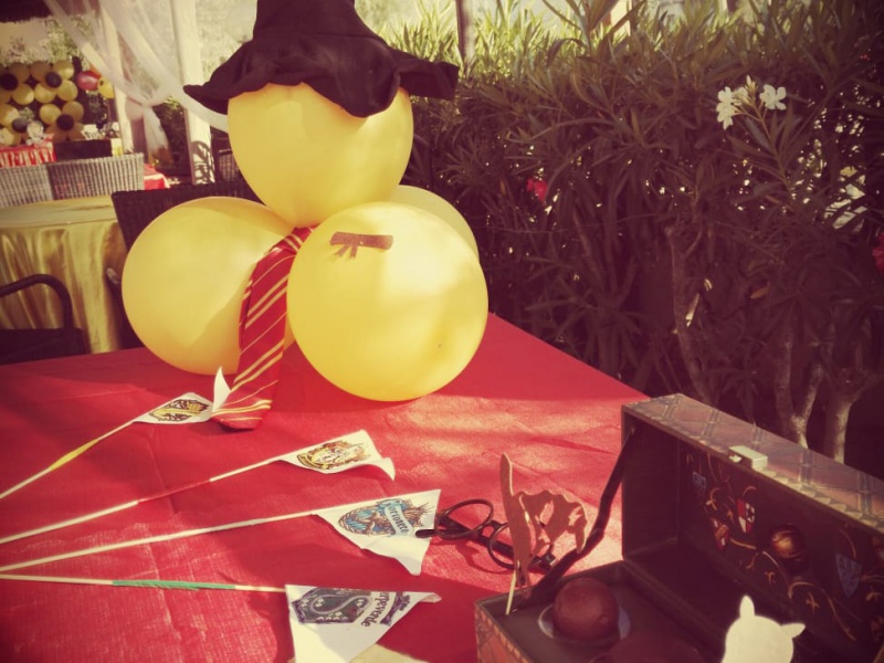 festa-harry-potter-4