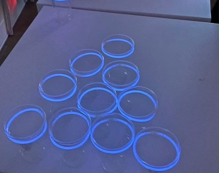 Fluo Party - Allegra Combriccola